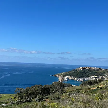 Sunshine * アインシーレム