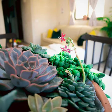 Sunshine Apartment *